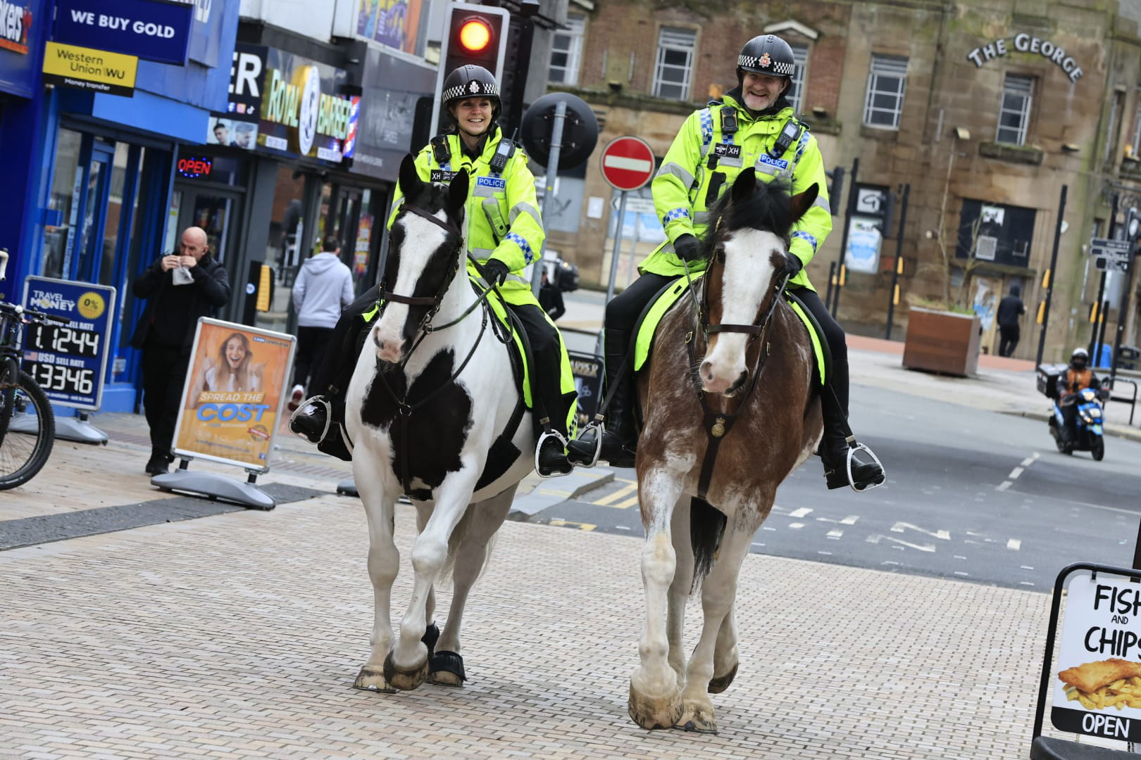 Mounted LFR 12.jpg