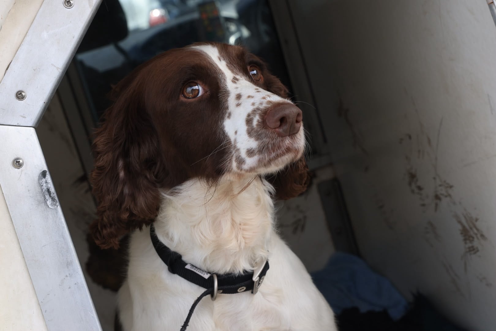 Lola 02.jpg