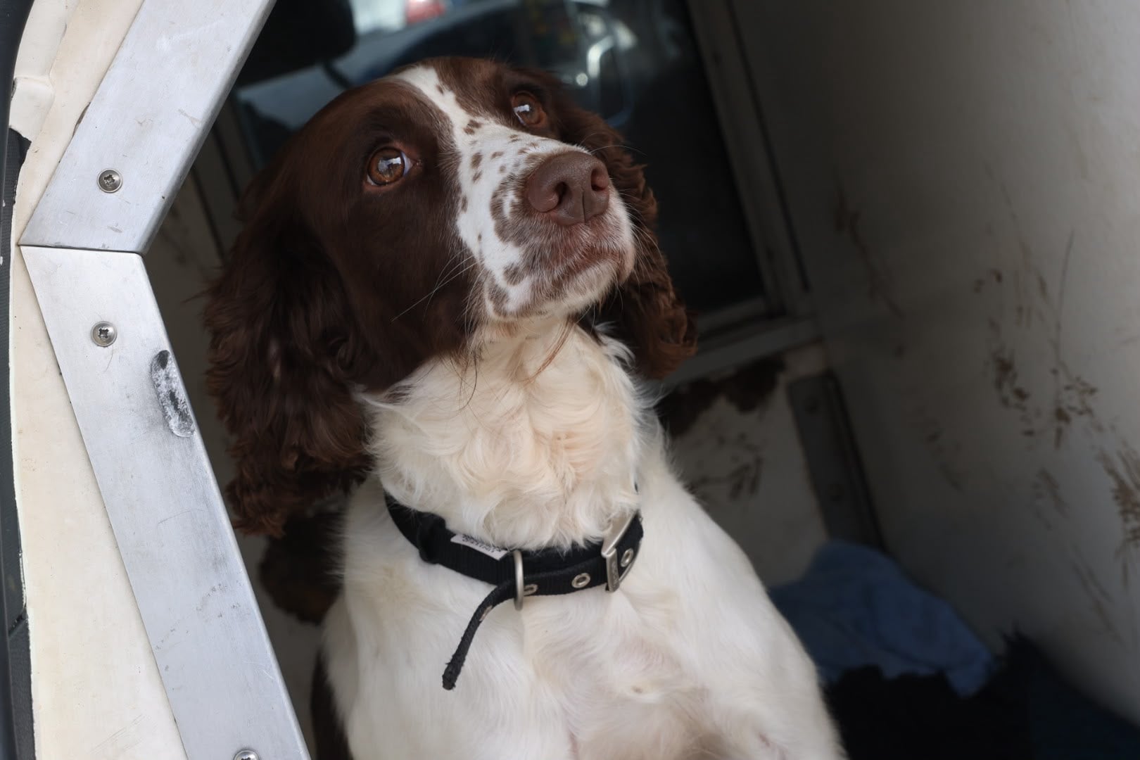 Lola 03.jpg