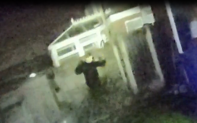 The duo located the second suspect hiding behind a shed in the rear garden of an address.