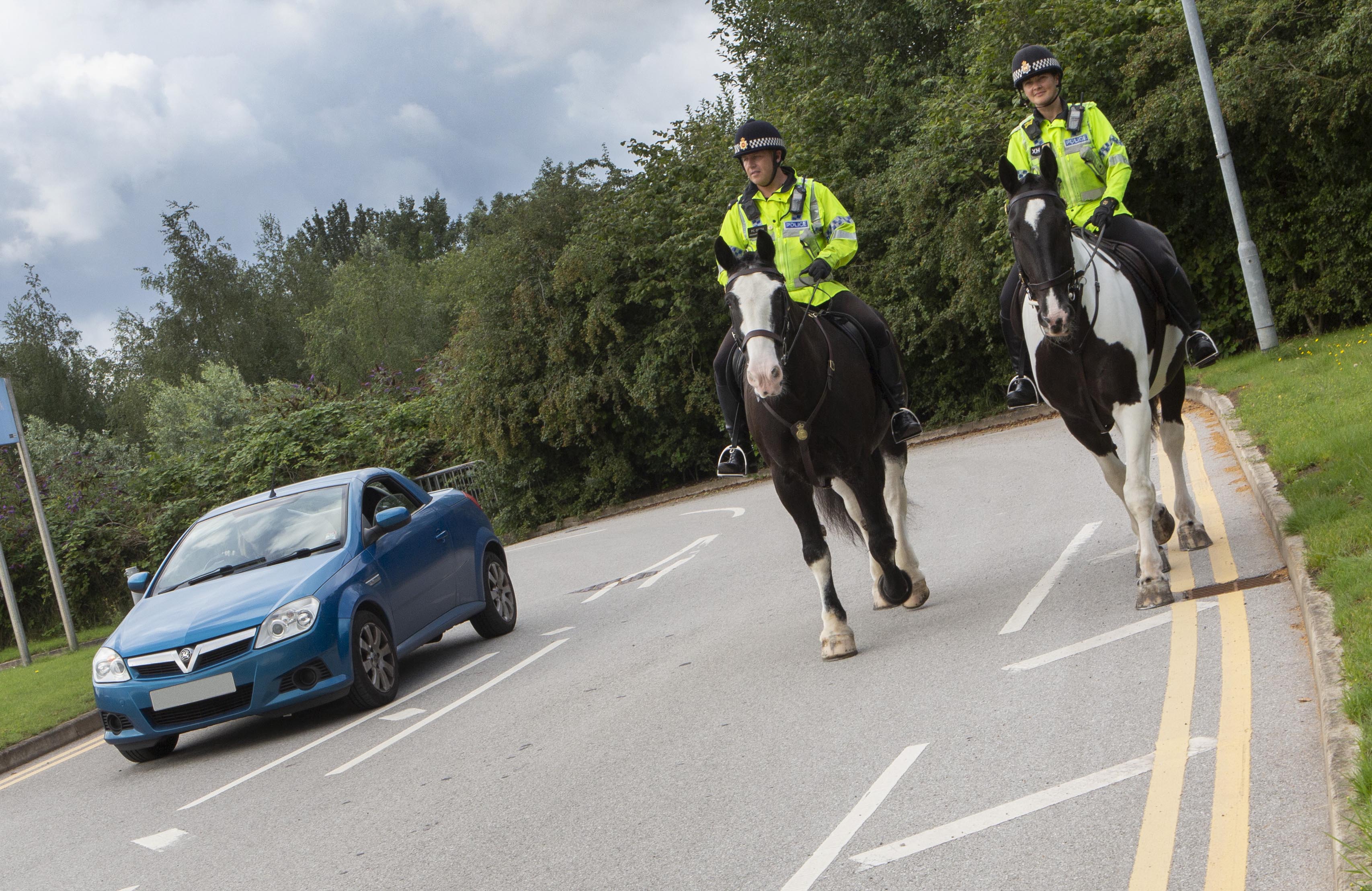 It's important to pass horses slowly and at a safe distance