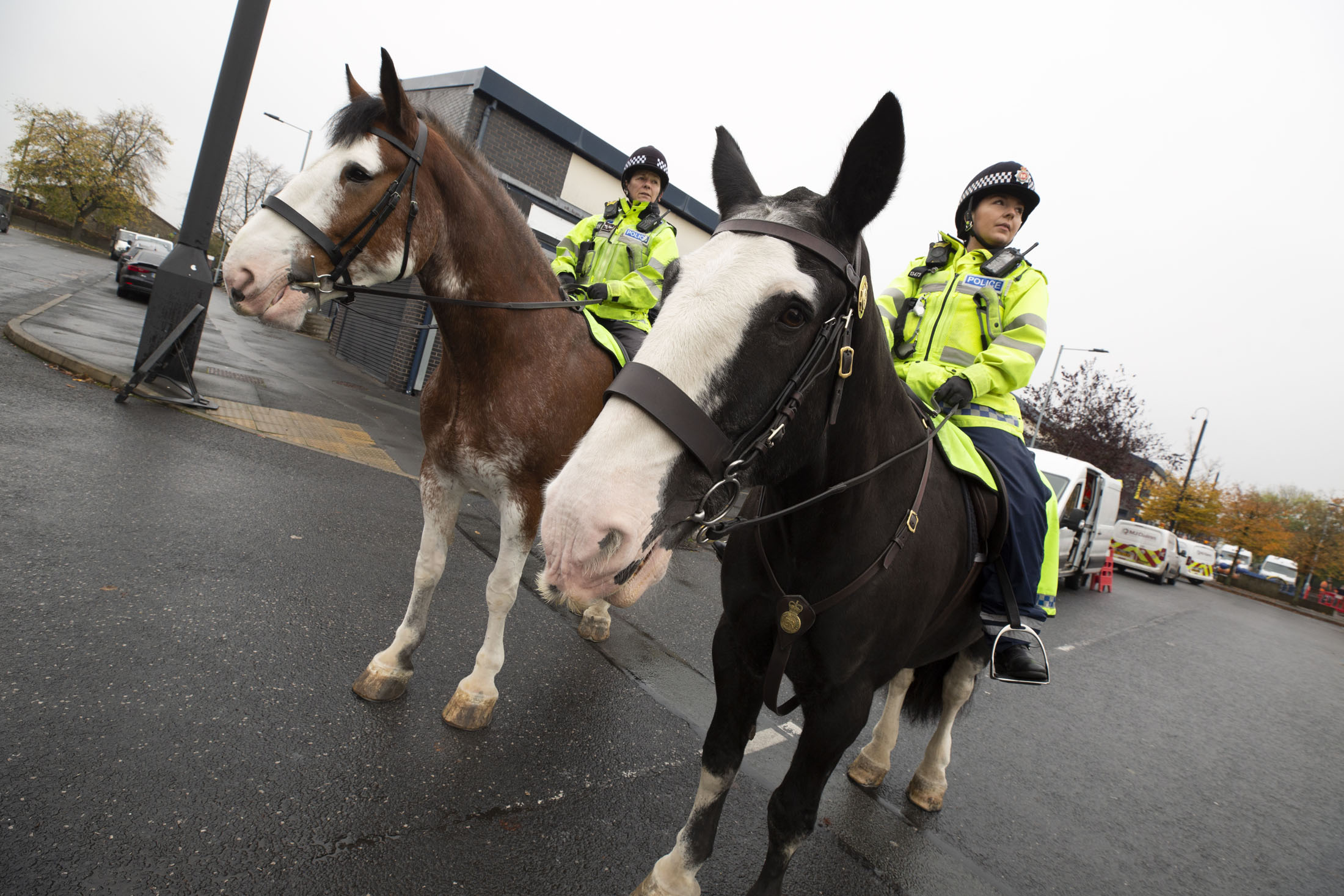 Police horses in Brinnington
