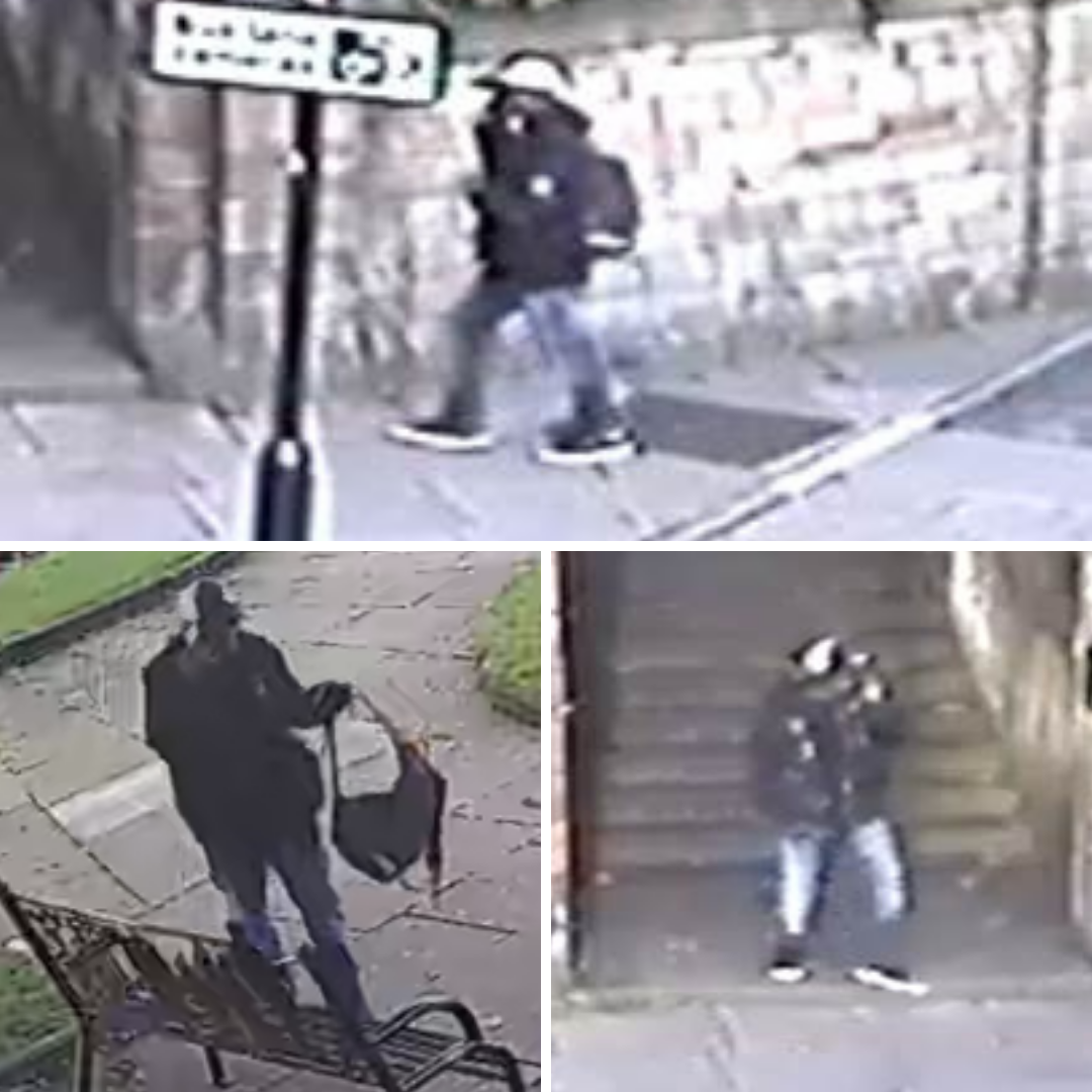 Witness appeal