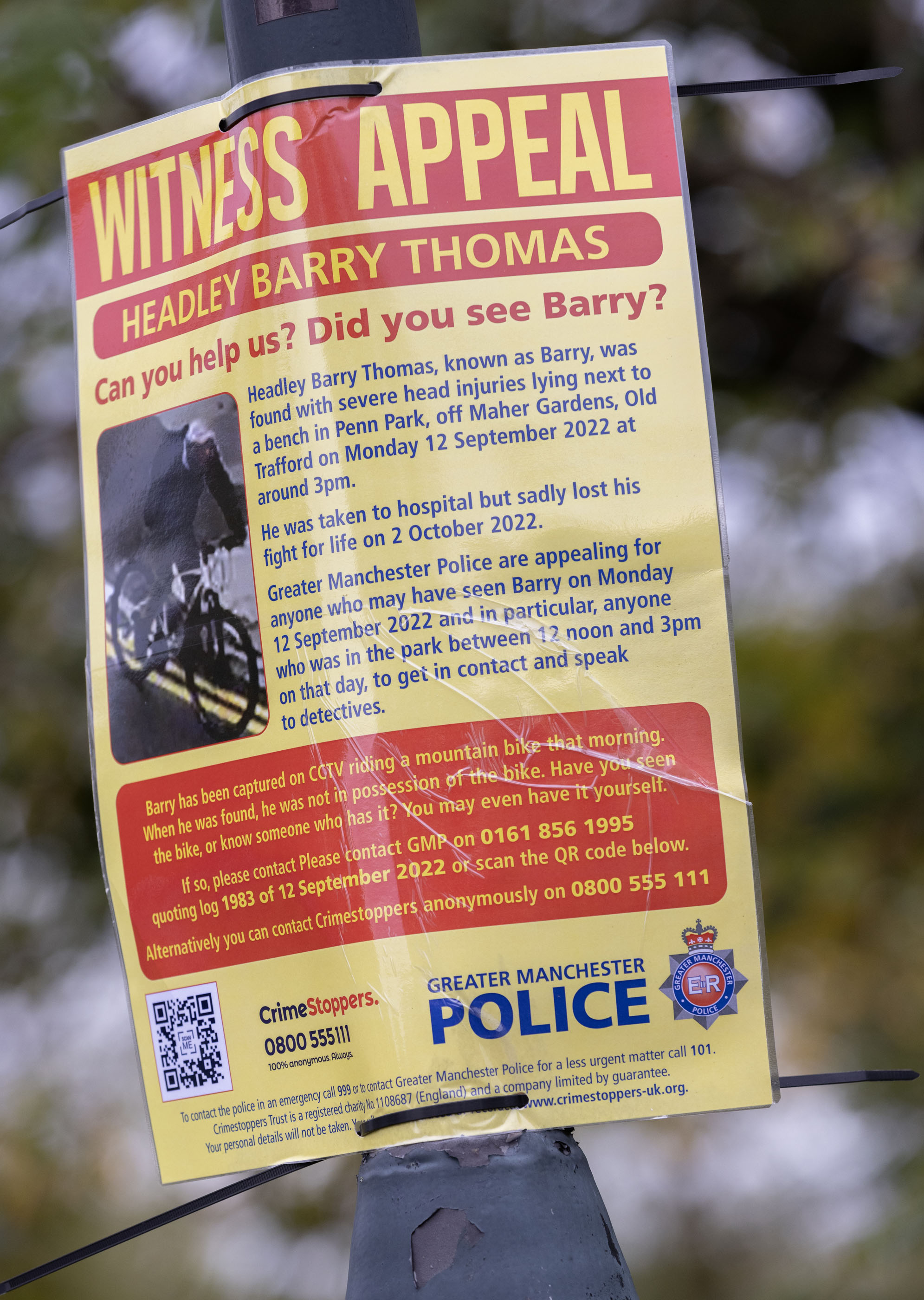 Witness appeal