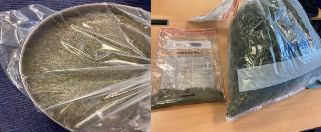 Cannabis drug warrant - Harpurhey