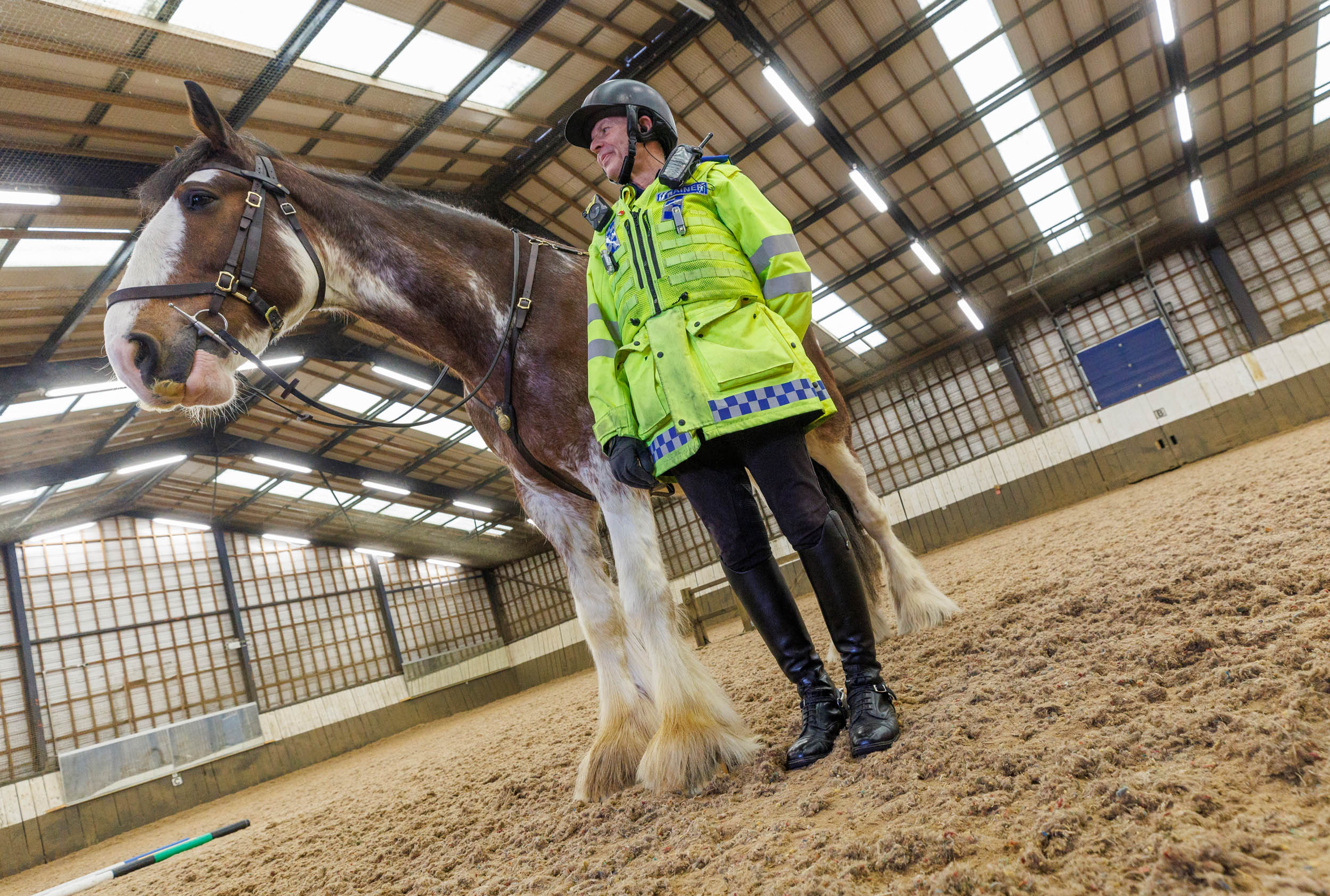 Trooper towers over Equine Trainers Alistair Hunstone