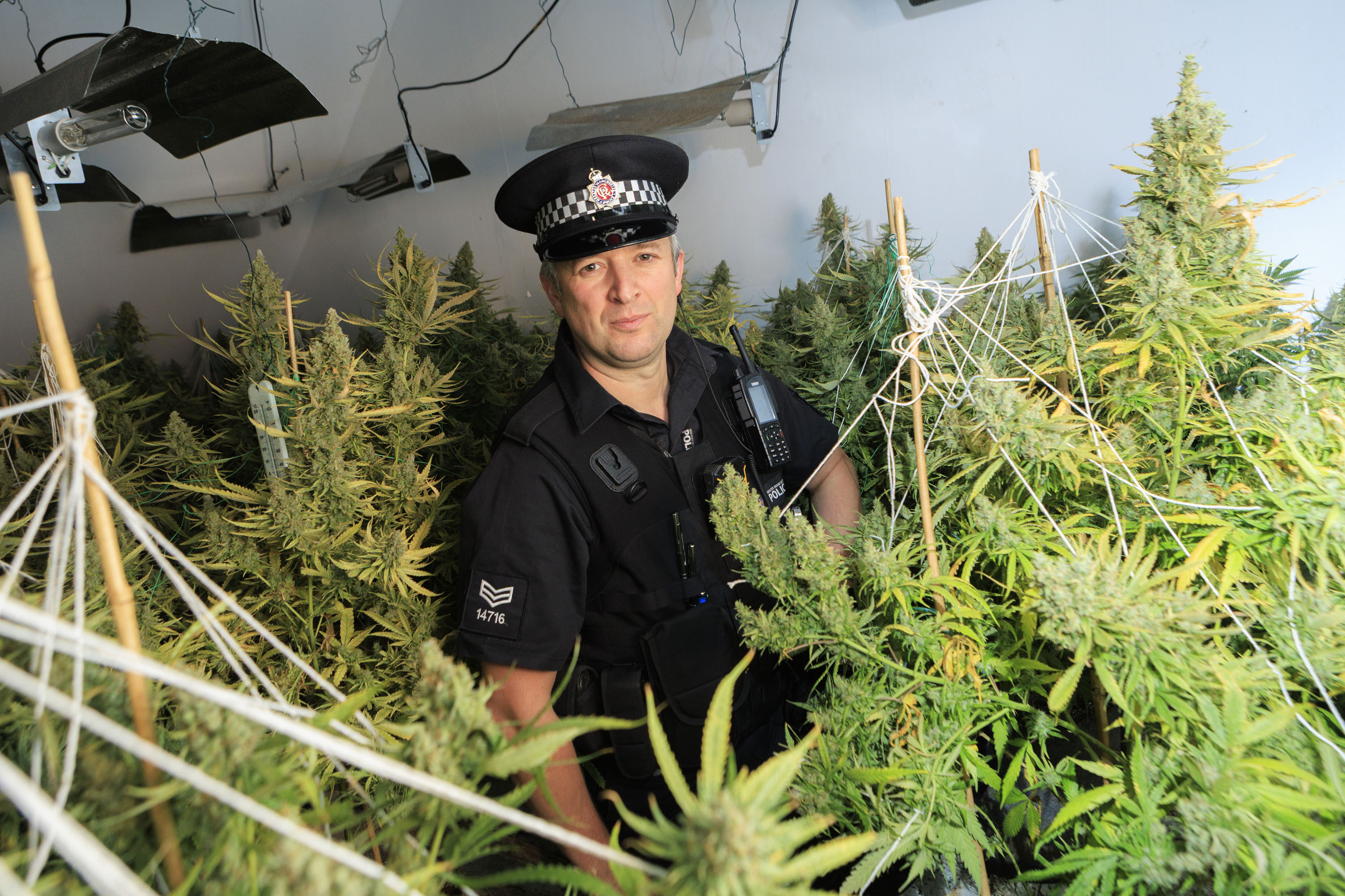 Cannabis Farm Brinnington