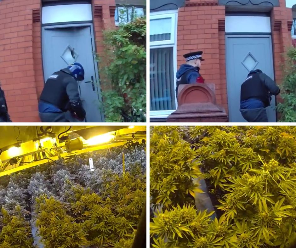 Cannabis warrants in Moss Side - 23