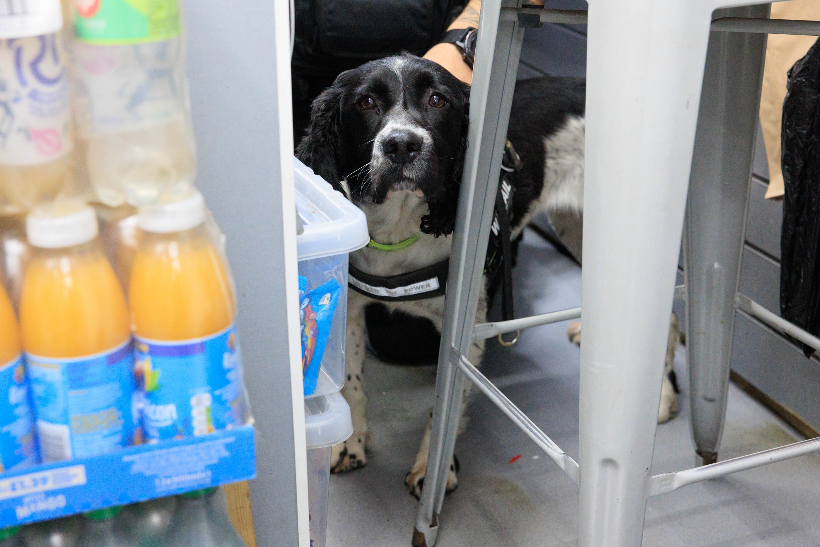 Led Stop Requested Sign £1m worth of vapes and cigarettes seized in Manchester crackdown on ...