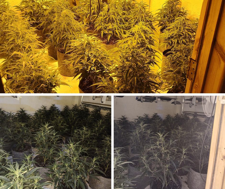 Tackling cannabis farms in Manchester as part of Neighbourhood Policing Week
