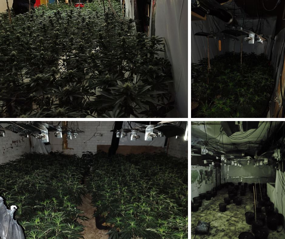Substantial cannabis farm discovered in Manchester City Centre property