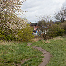 Image of Gorton South