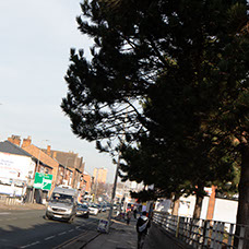 Image of Higher Cheetham