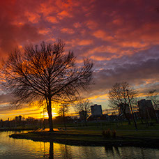 Image of Miles Platting