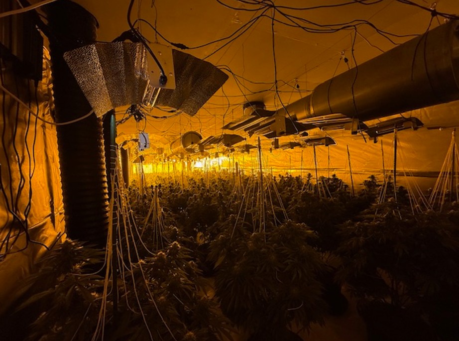 Radcliffe Cannabis Farm