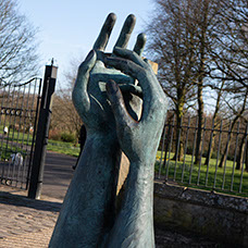 Image of Ince