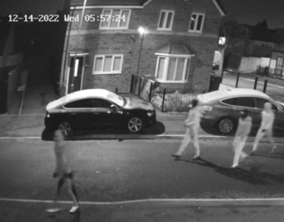 burglaries 