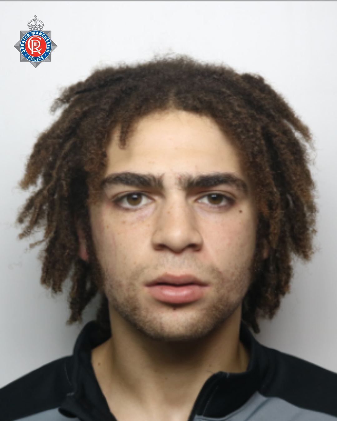 Tyreese Johnson was sentenced to 50 months for robbery, dangerous driving and aggravated vehicle taking