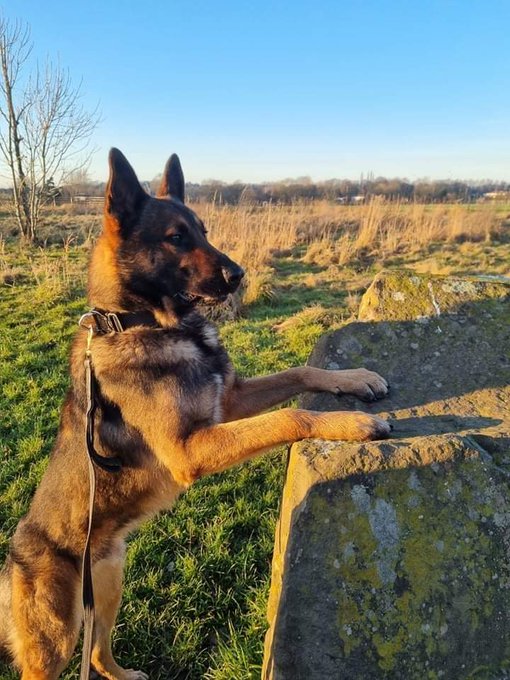 PD Kyp