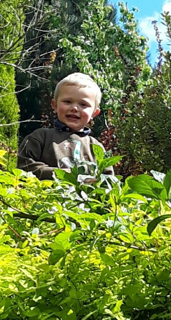 Picture of Daniel Twigg.