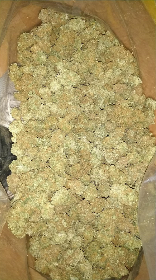 Farrell - cannabis.png