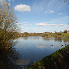 Image of Medlock Vale