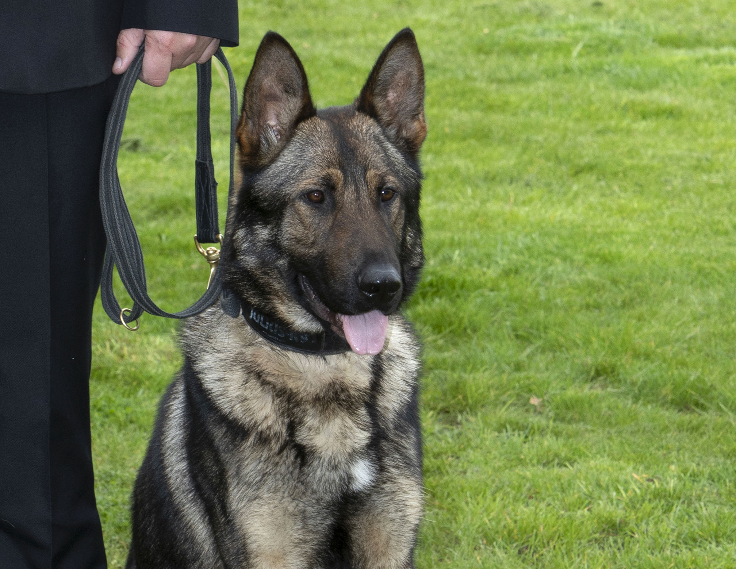 PD Hully