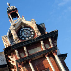 Image of Brunswick