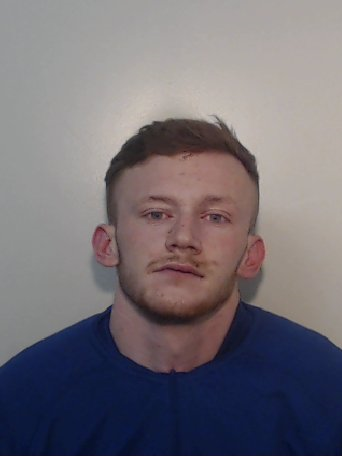Callum Halpin