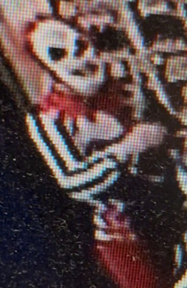 Suspect Image