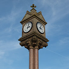 Image of Reddish