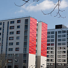 Image of Langworthy
