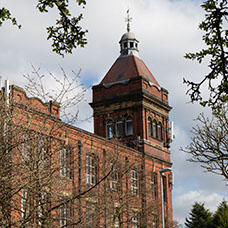 Image of Healey