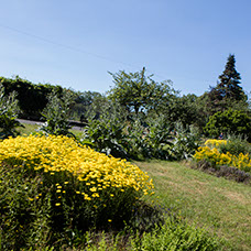 Image of Debdale